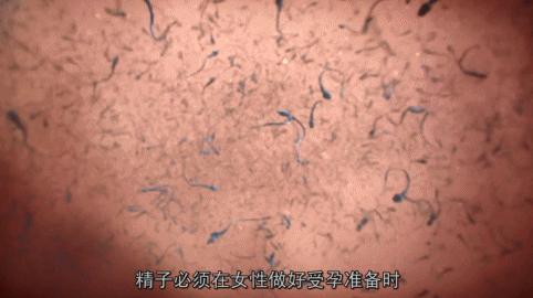 死去的生物突然开始攻击我,人类死亡后细胞拼命自救