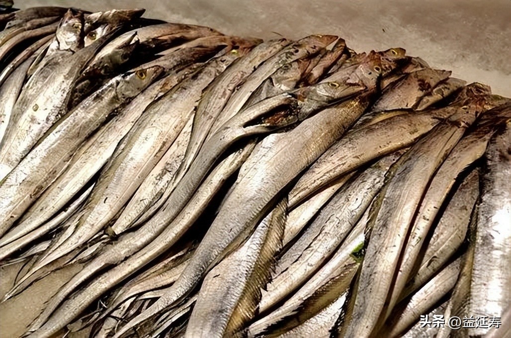 什么样的舟山带鱼好吃,舟山带鱼世界上最好吃的