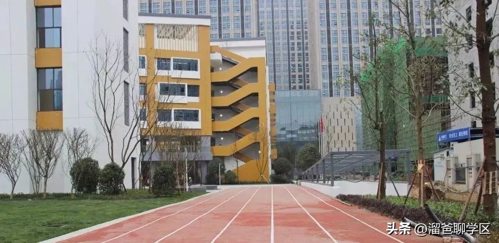 成都教科院学校学区房,成都教科院附属学校东区对应楼盘