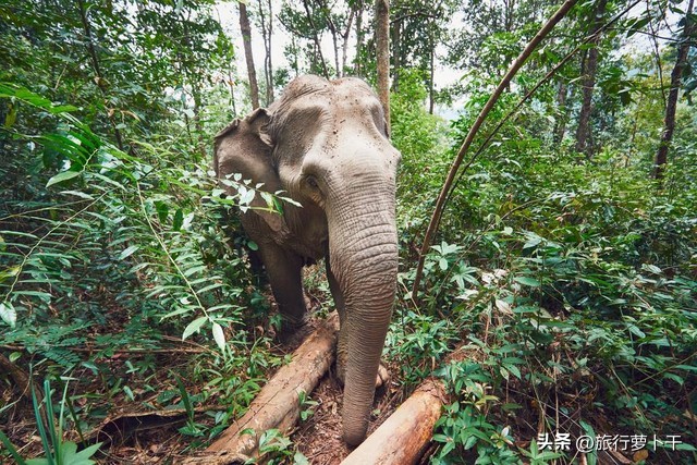你以为的东南亚和现实的东南亚,一分钟颠覆你对东南亚的认识