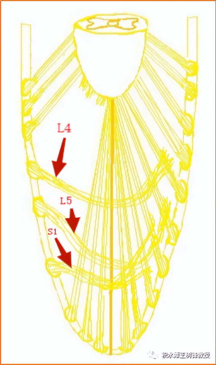 腰骶丛神经损伤,腰骶丛神经损伤最佳治疗方法