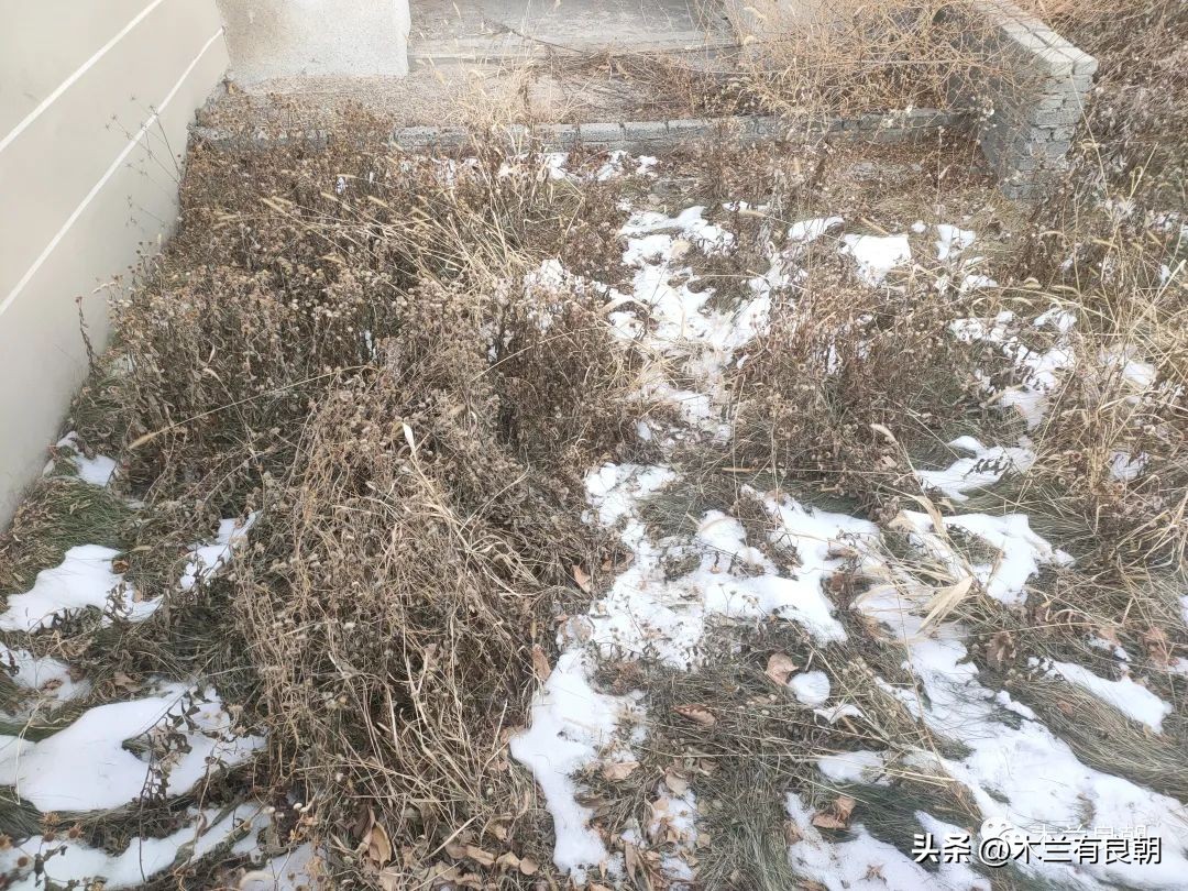 东北城市别墅价格,小县城别墅一万多一平方