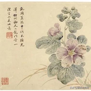 花鸟工笔白描100张简单,重彩工笔花鸟白描