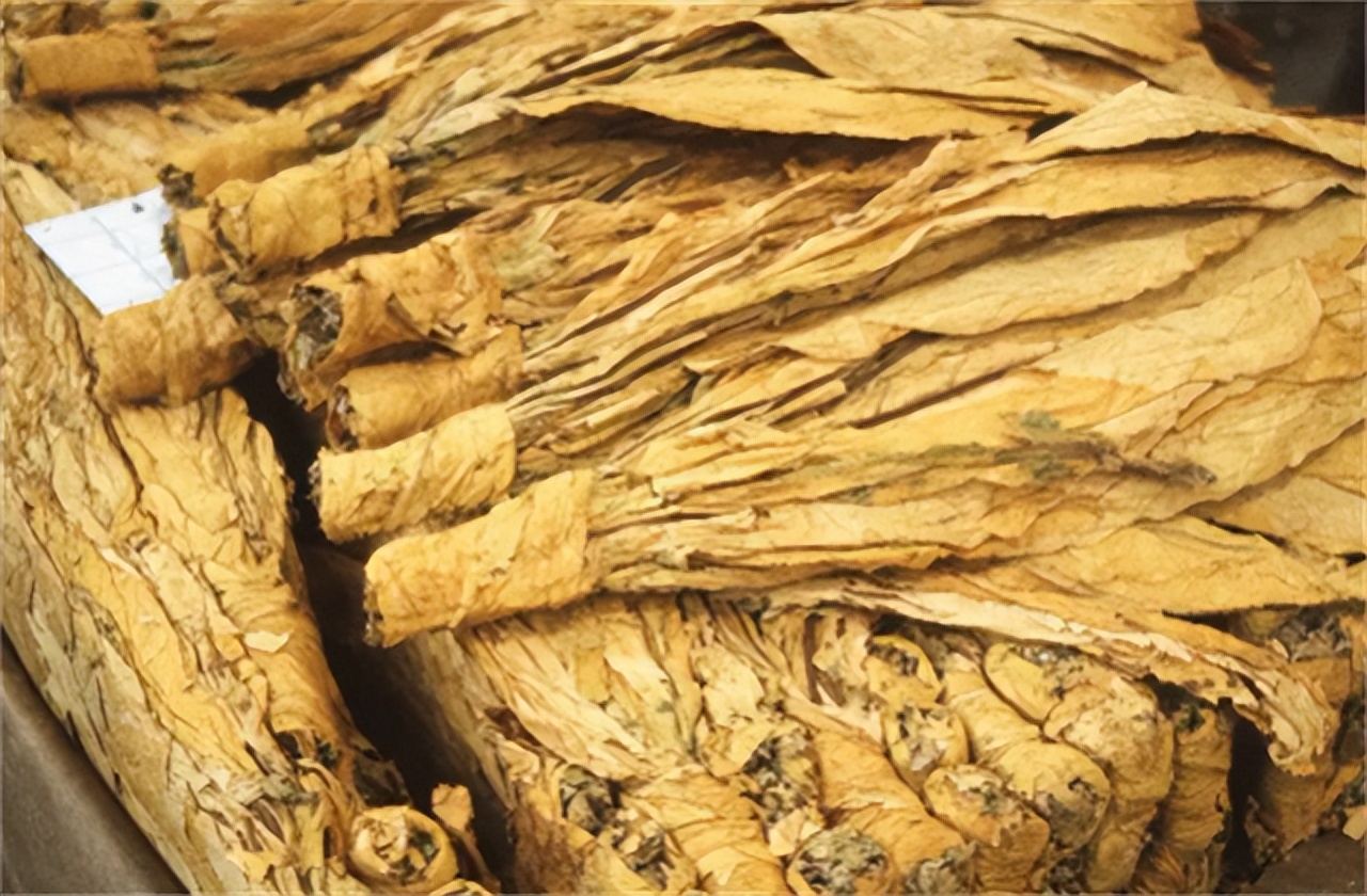 草烟的危害大还是纸烟危害大,草烟坏处