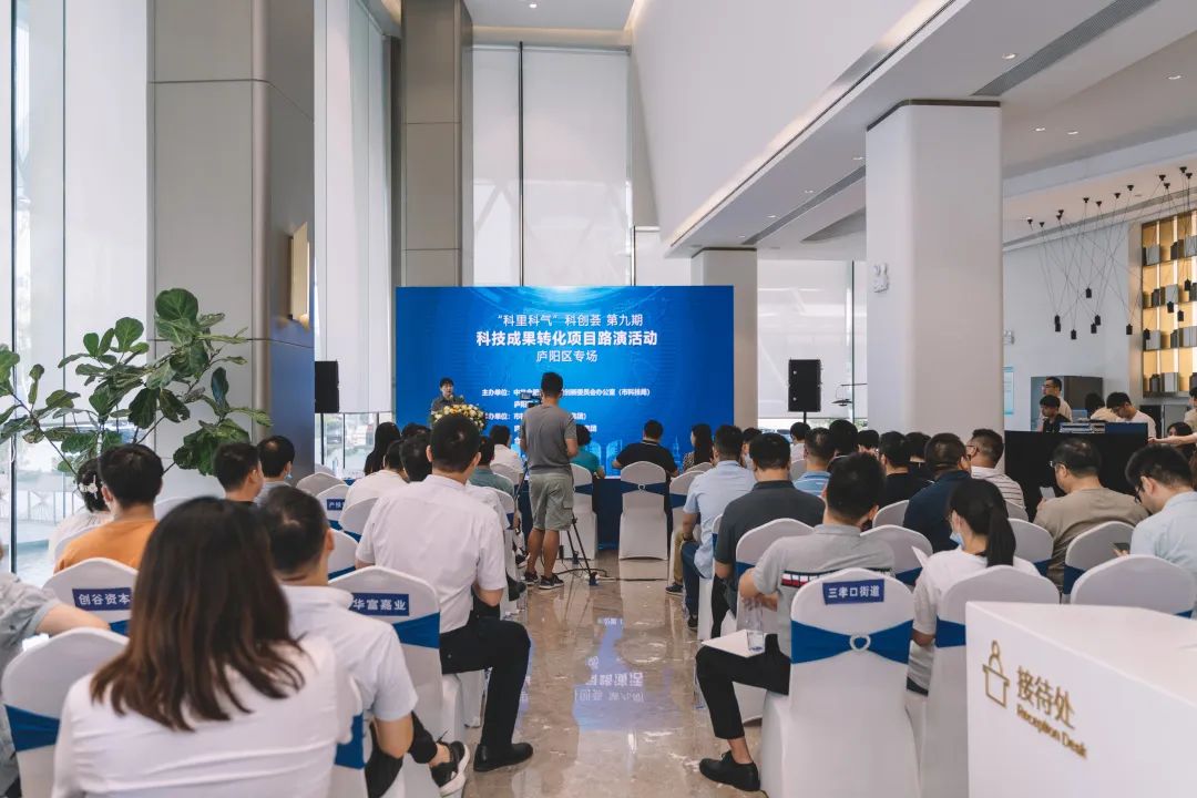 看！这些“种子”在合肥茁壮成长