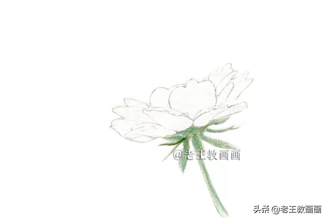 用彩铅画花教程,用彩铅画花小楼