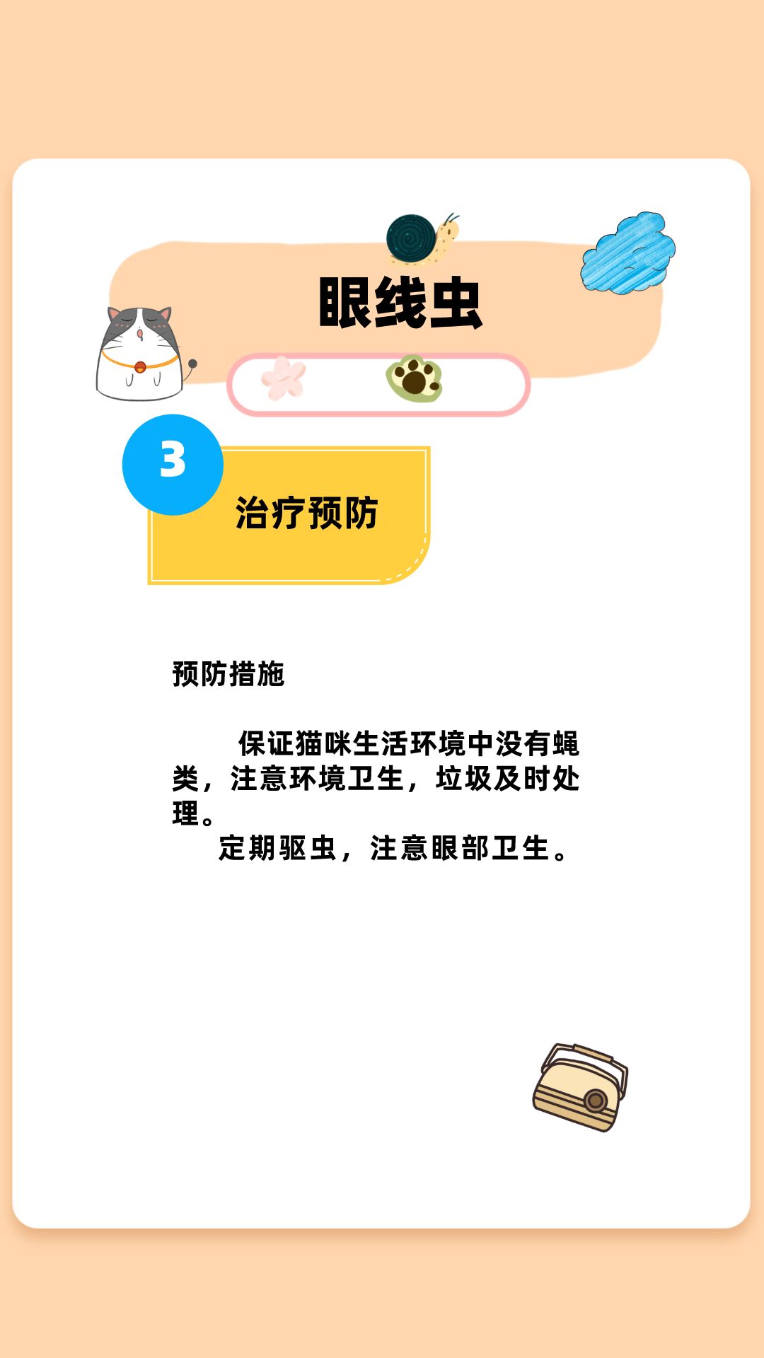 小奶猫如何预防真菌感染,如何判断猫咪是否有眼线虫