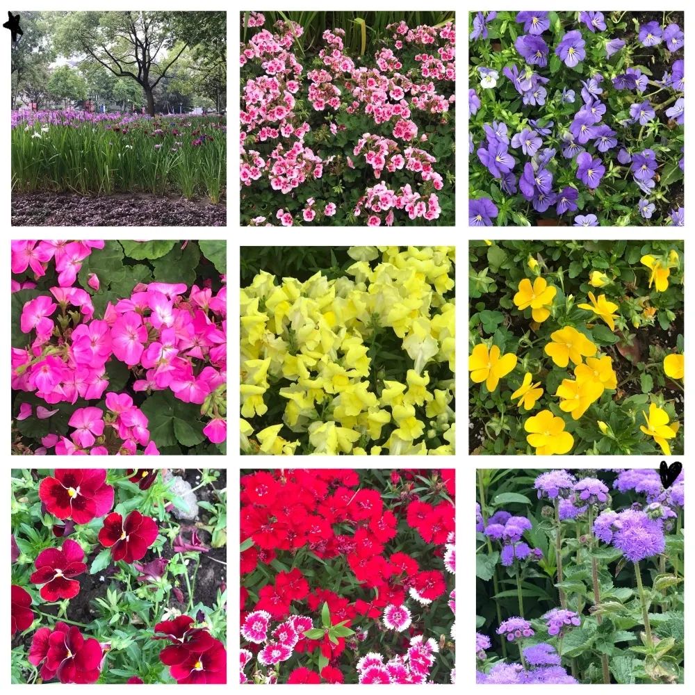 有趣的灵魂：你知道春天的花儿到底为谁开放吗？