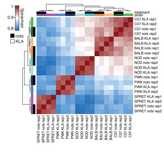 图形解读系列|给你5个示例，你能看懂常用热图使用吗？