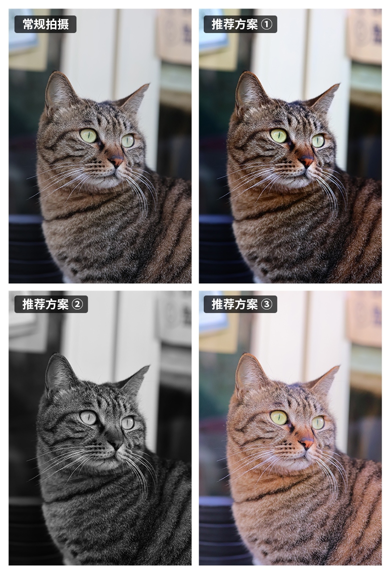 eos佳能轻便小巧,佳能微型相机eos