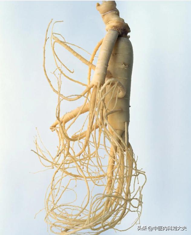 脾胃不好口腔溃疡怎么治疗,脾胃虚寒导致的口腔溃疡怎么治