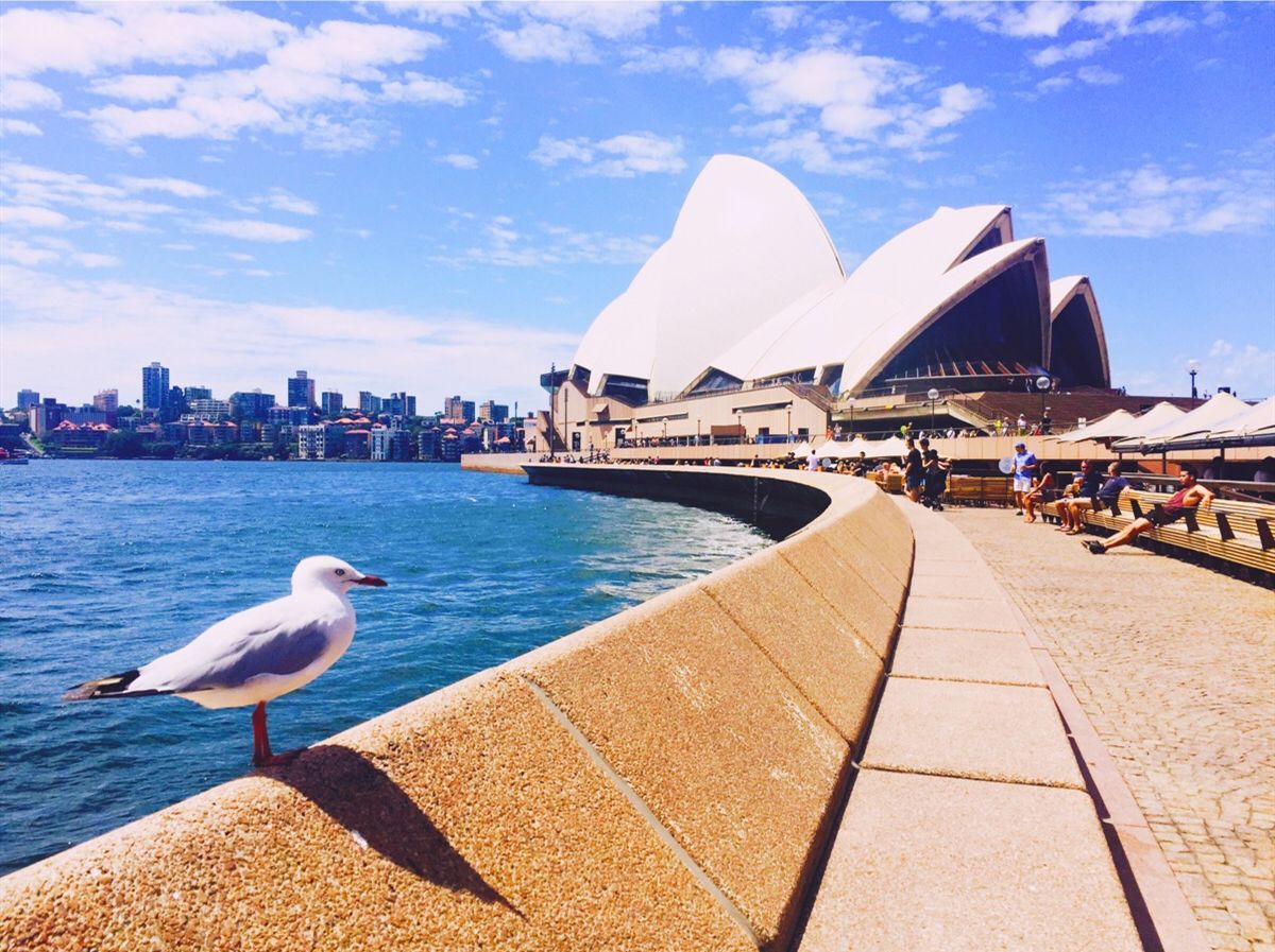 国际快递怎么寄便宜到澳大利亚,从国内往澳洲寄快递