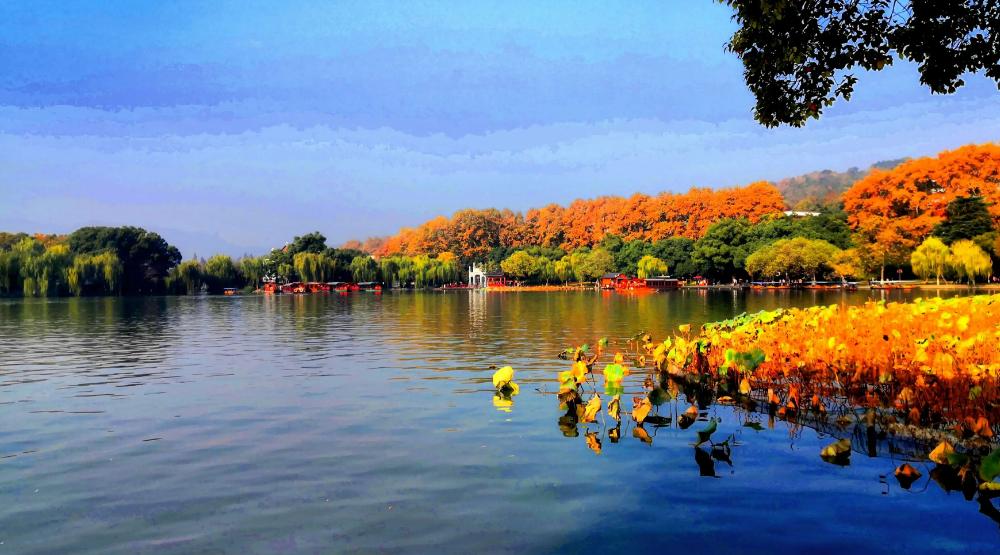 赞美西湖秋日美景的诗词,关于西湖深秋景色的唯美诗句