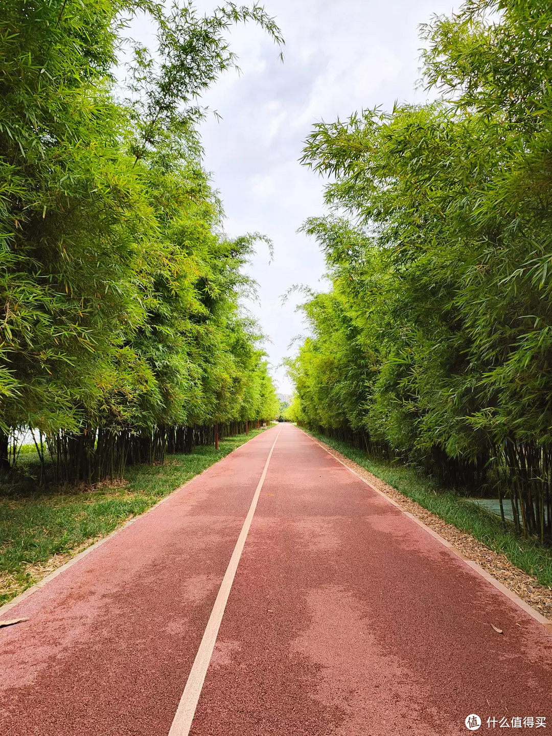 捷安特atx810自行车怎么辨别真假,闲鱼买捷安特atx660自行车靠谱吗