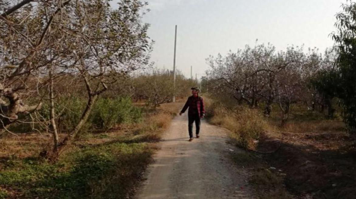 丈夫把情人安排进家里当保姆,老公把情人请回家当保姆