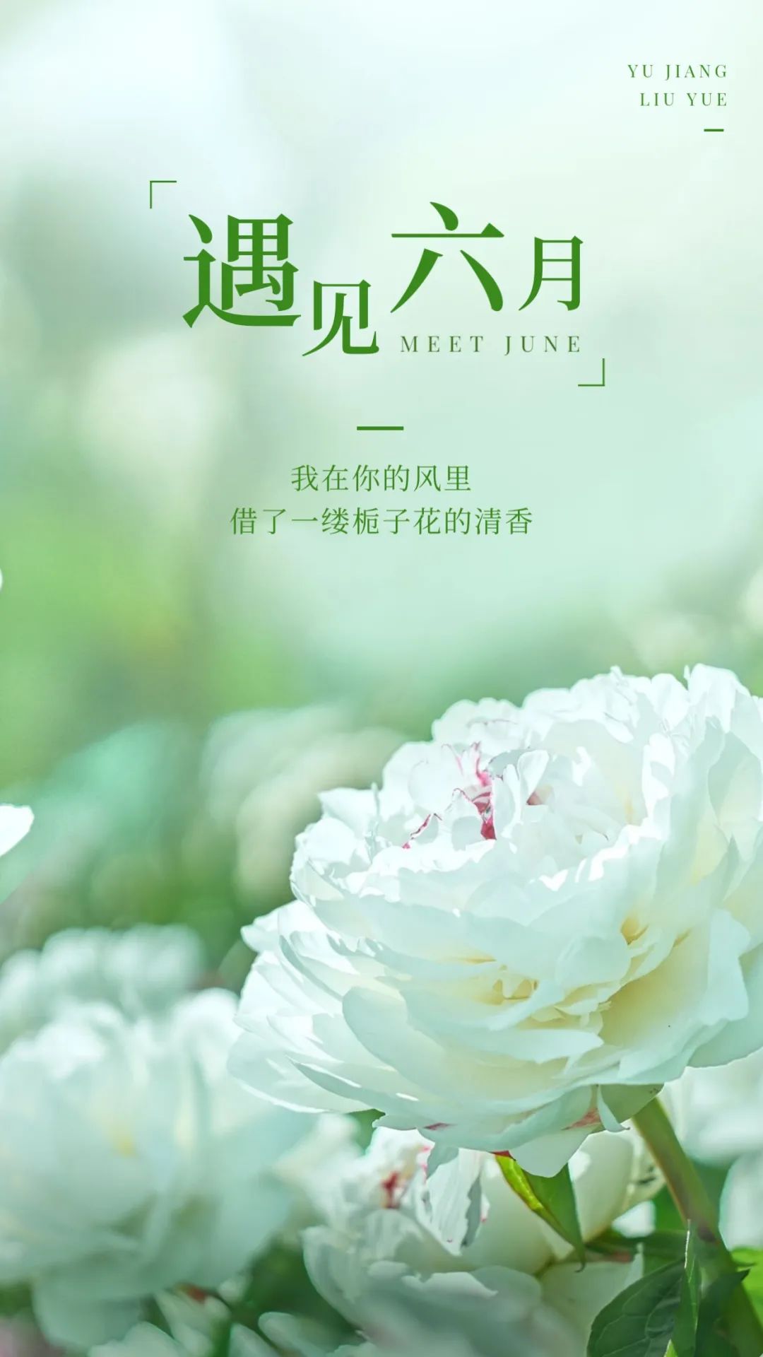 六月你好图片励志简短句子,六月你好的唯美句子短句图片