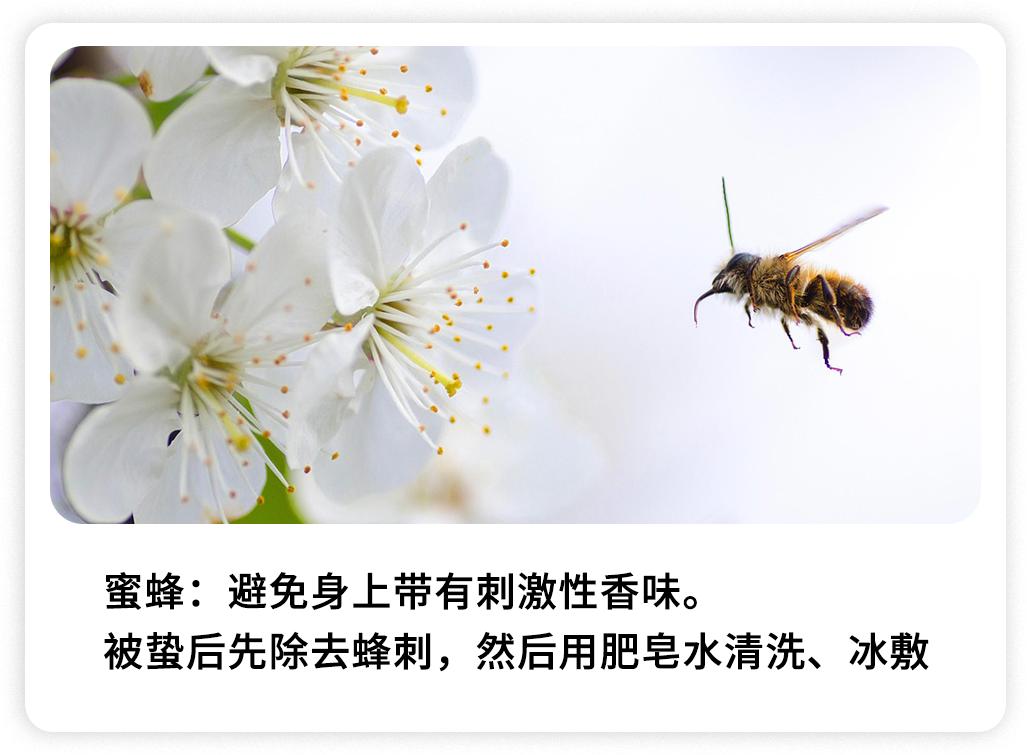 被哪种虫子咬了有个小孔,被什么昆虫咬了刺痛