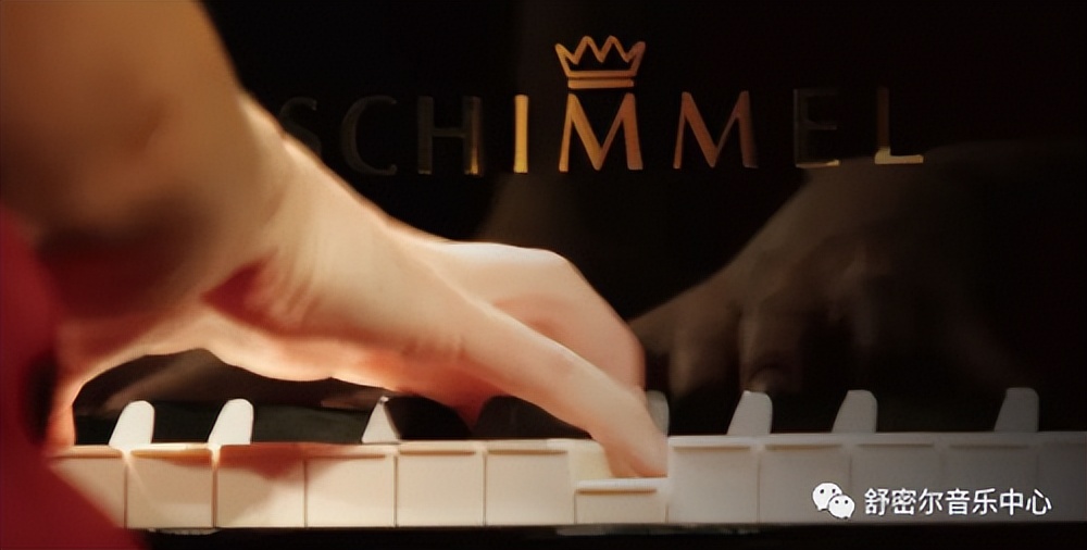 德国钢琴哪款最好,德国赛德尔钢琴好吗