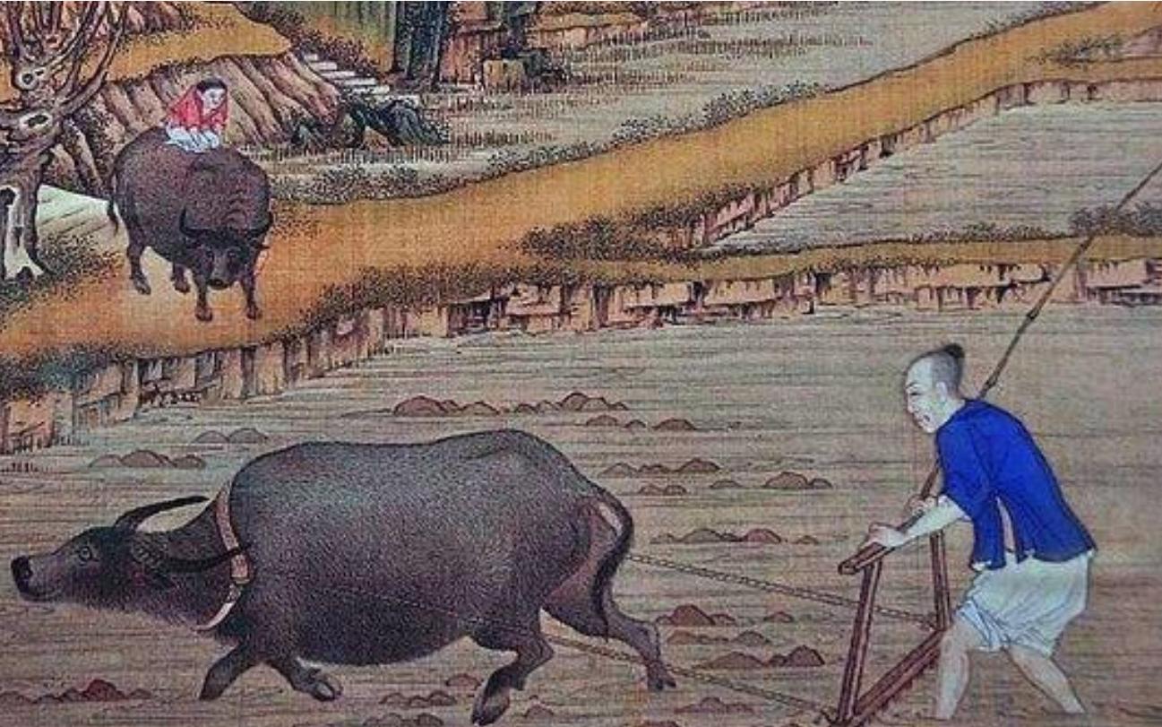 太岁中科院研究,太岁之谜神秘东西