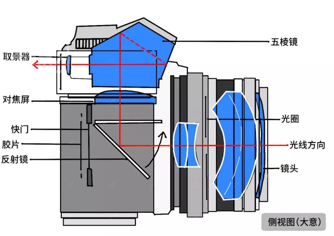 数码单反相机发展简史心得,关于单反相机的发展趋势