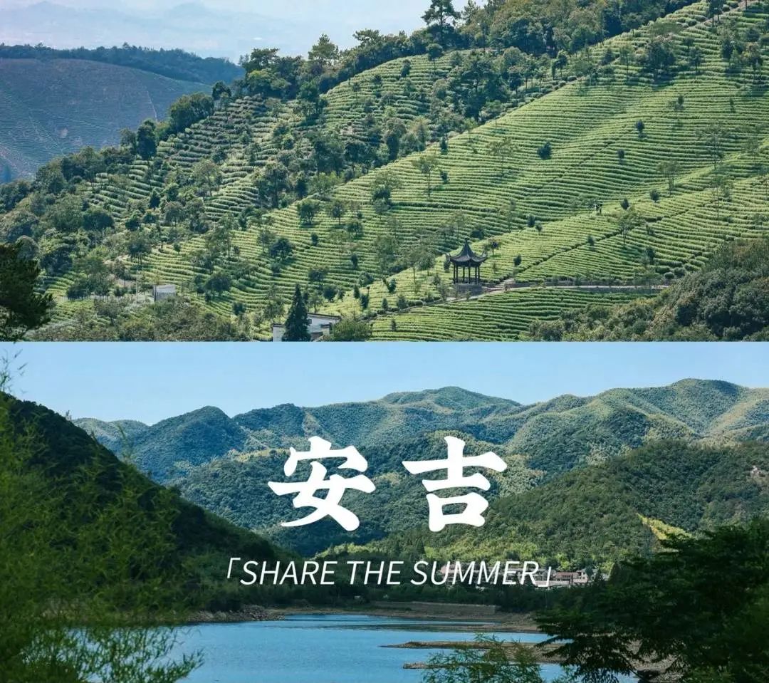 天目湖涵田度假村南山竹海,安吉涵田度假村云居照片