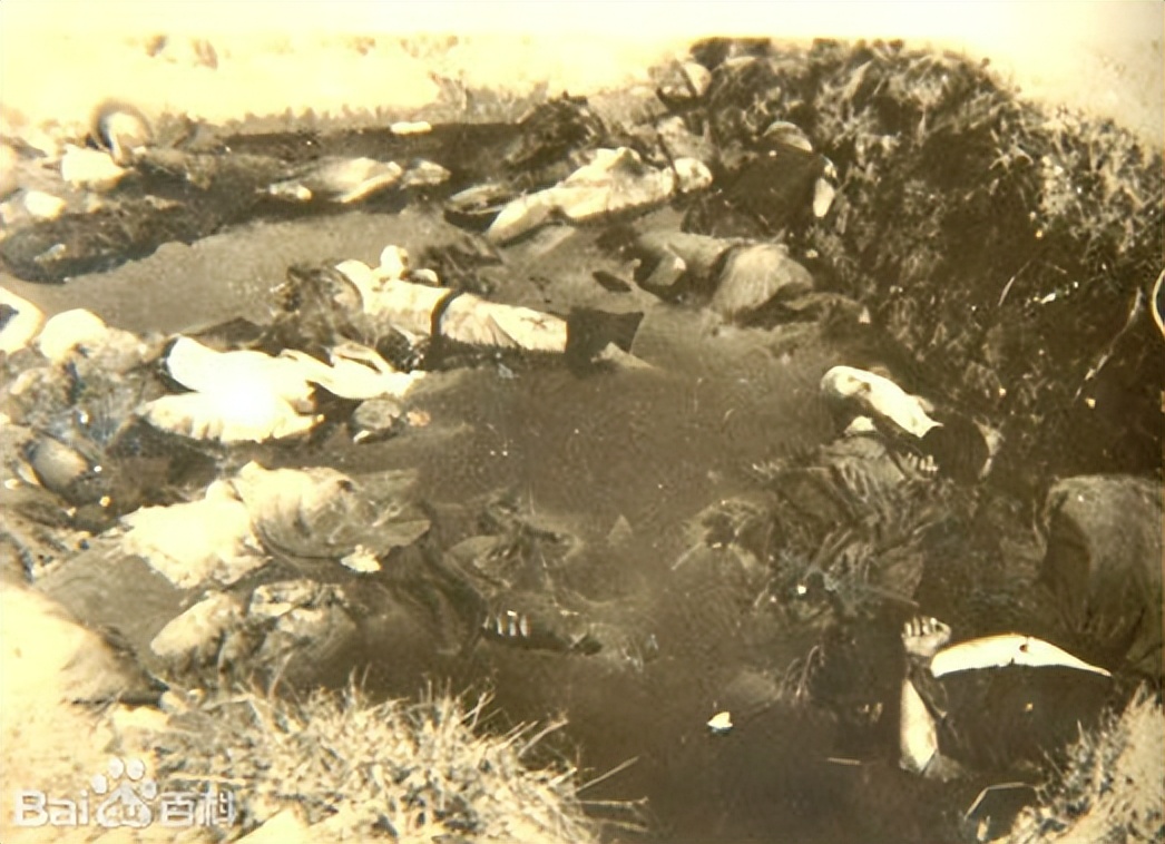 不忍直视！但*京大南***杀屠**不应被国人忘记