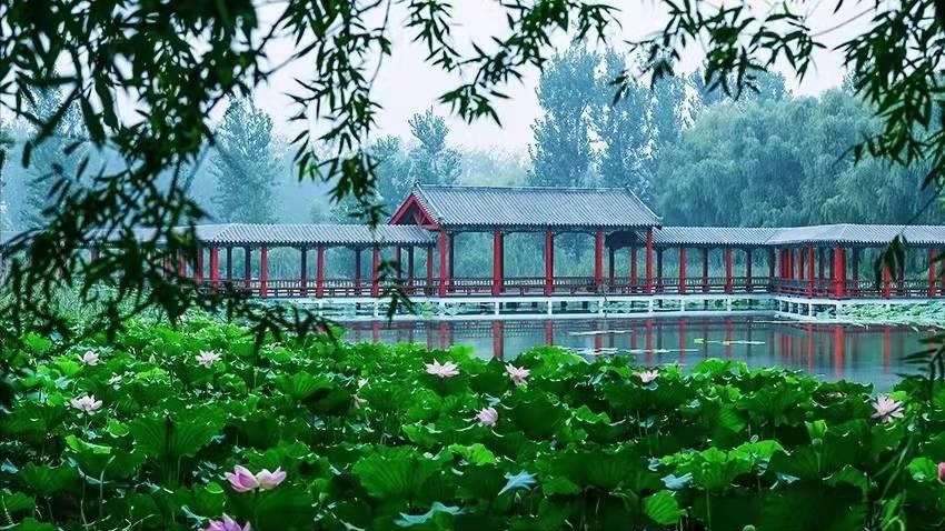 山东日照和枣庄哪个发达,日照综合实力