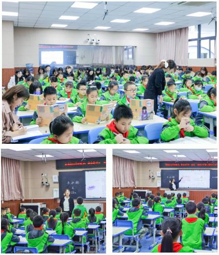 双减政策下如何开展小学科学教学,双减政策下的小学科学课堂