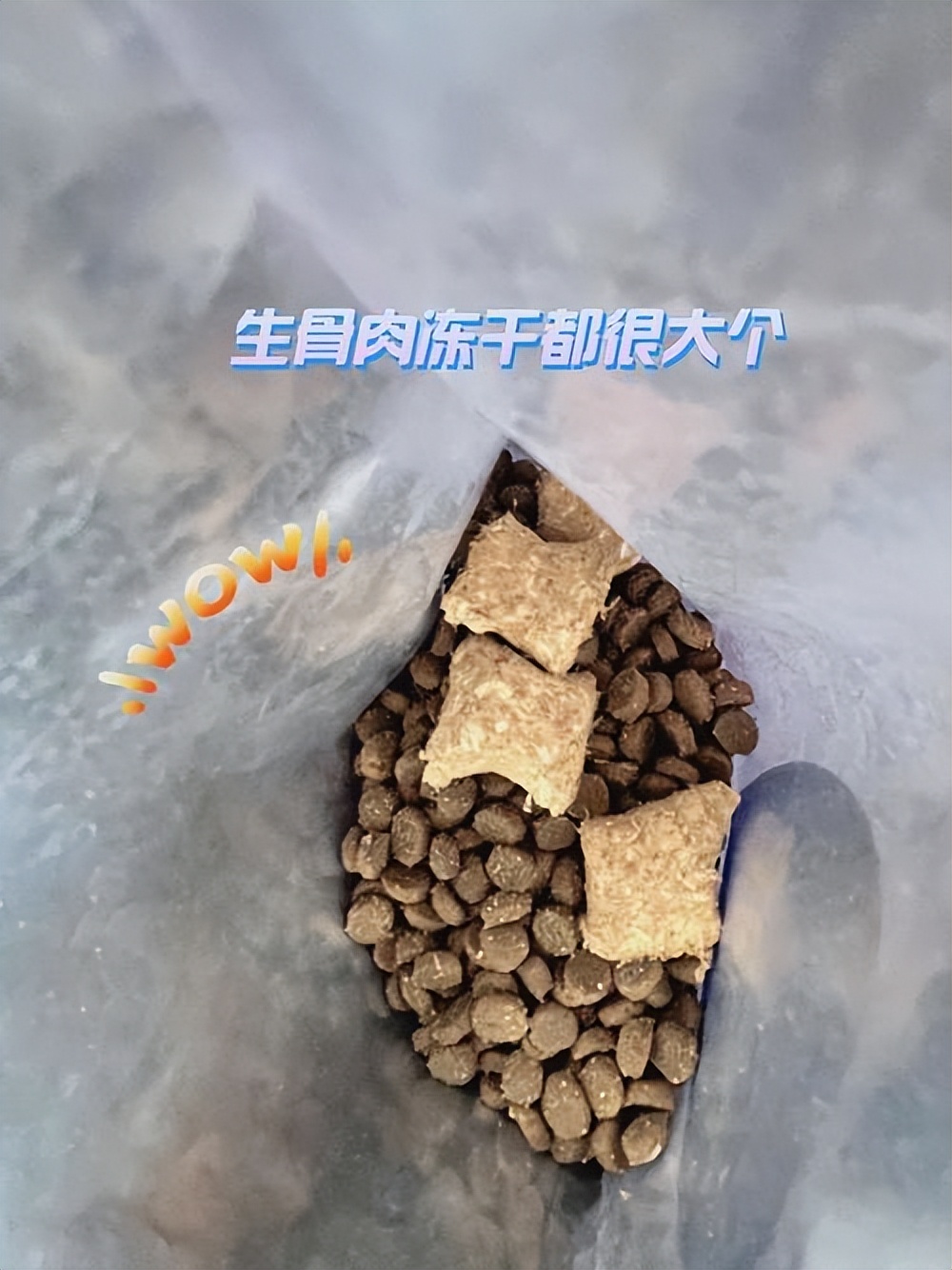 猫拉屎粘底怎么办,猫拉屎粘在尾巴上怎么清理