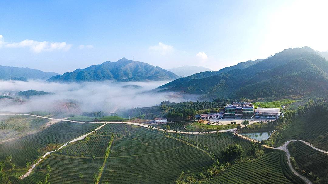 广东避暑的旅游景点冷门,广州周边游冷泉滩