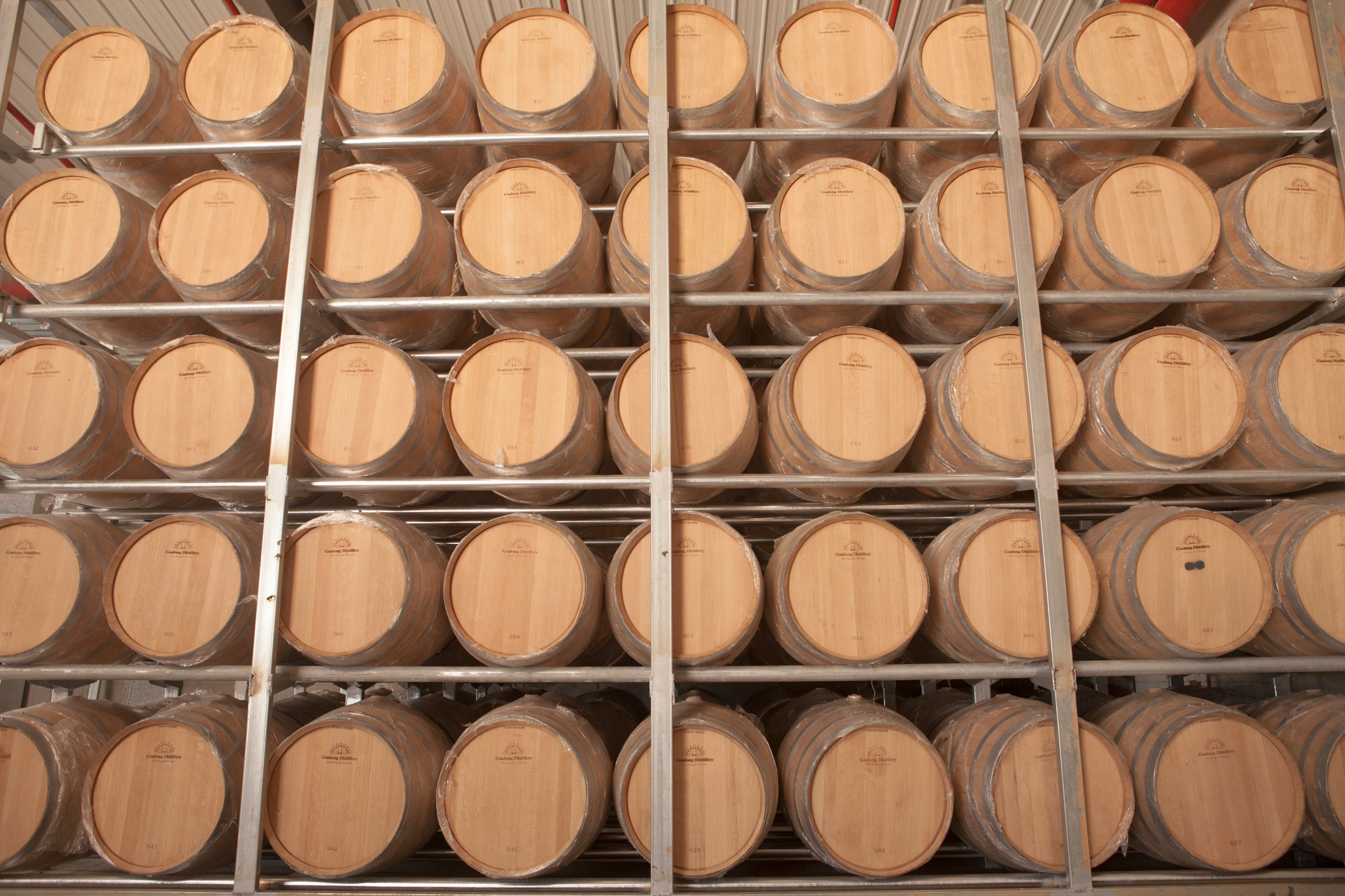 共谋发展共创未来座谈会,共谋合作发展携手共创未来