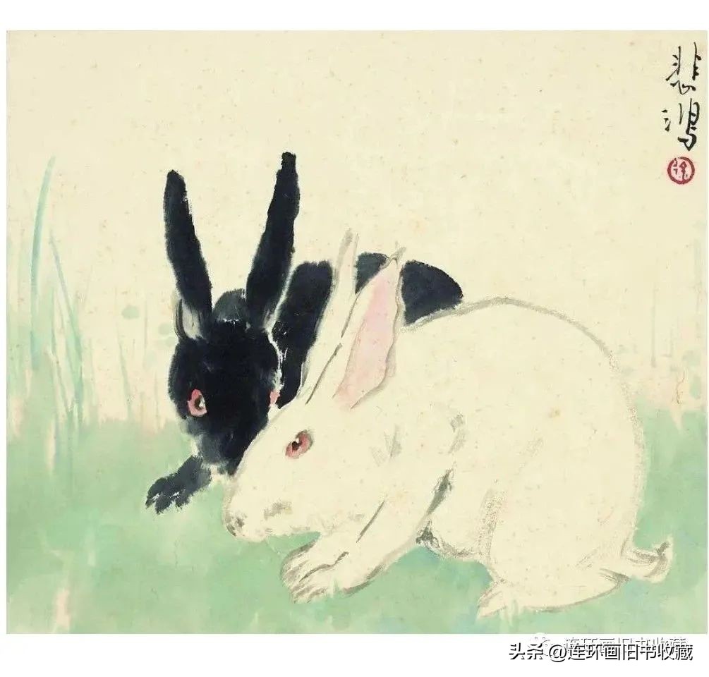 白兔和黑兔四格连环画,关于兔年的多格连环画