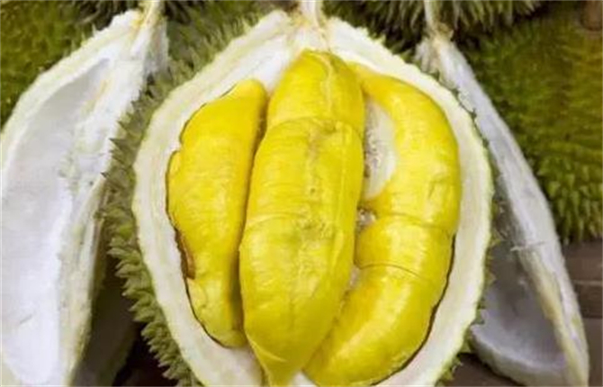 榴莲开了没熟怎么办补救,榴莲开了没熟怎么补救