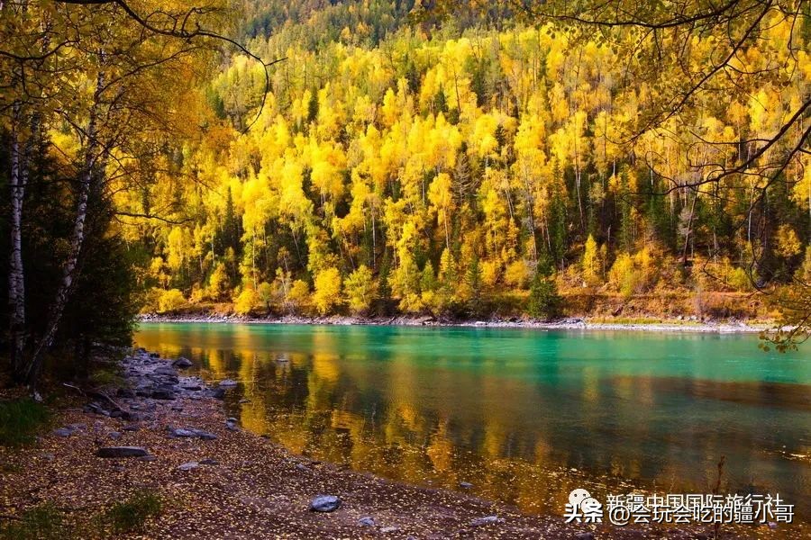 2023国内最适合秋游的地方！退休必看、人少实惠！去了就不想回家