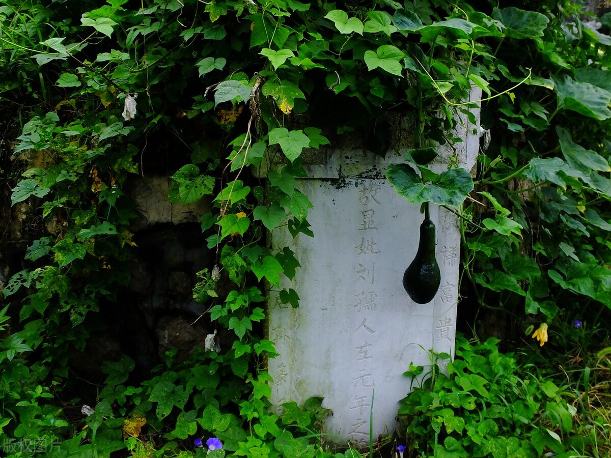 墓碑四不立是指什么,墓碑四不立是哪四个不能立