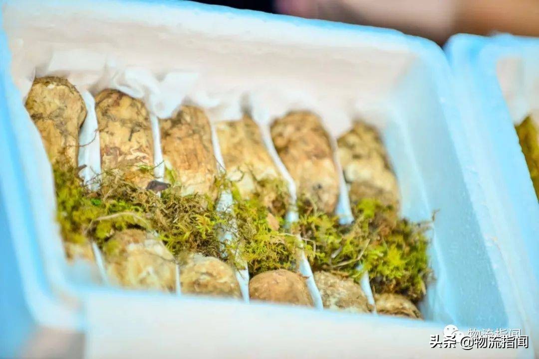 复盘顺丰三十而立再出发,顺丰战略复盘