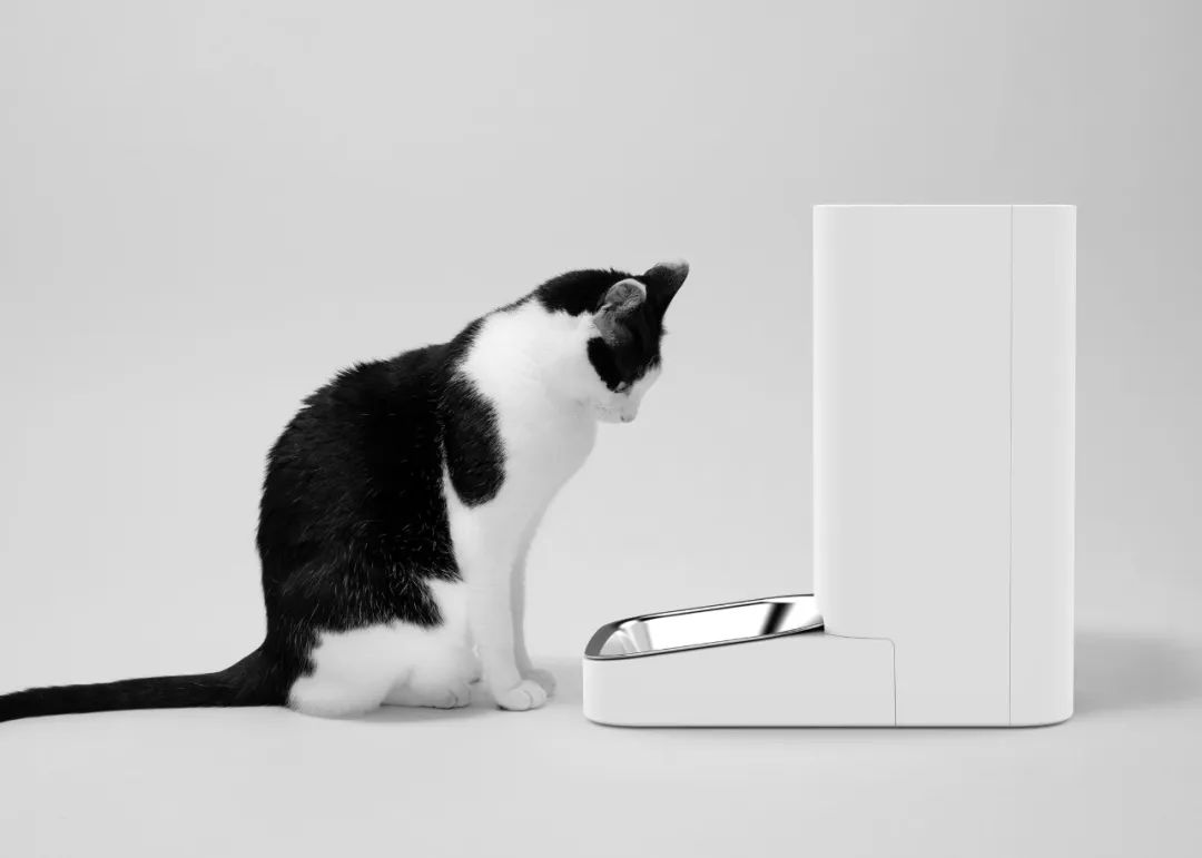 2022年iF设计奖：宠物用品类