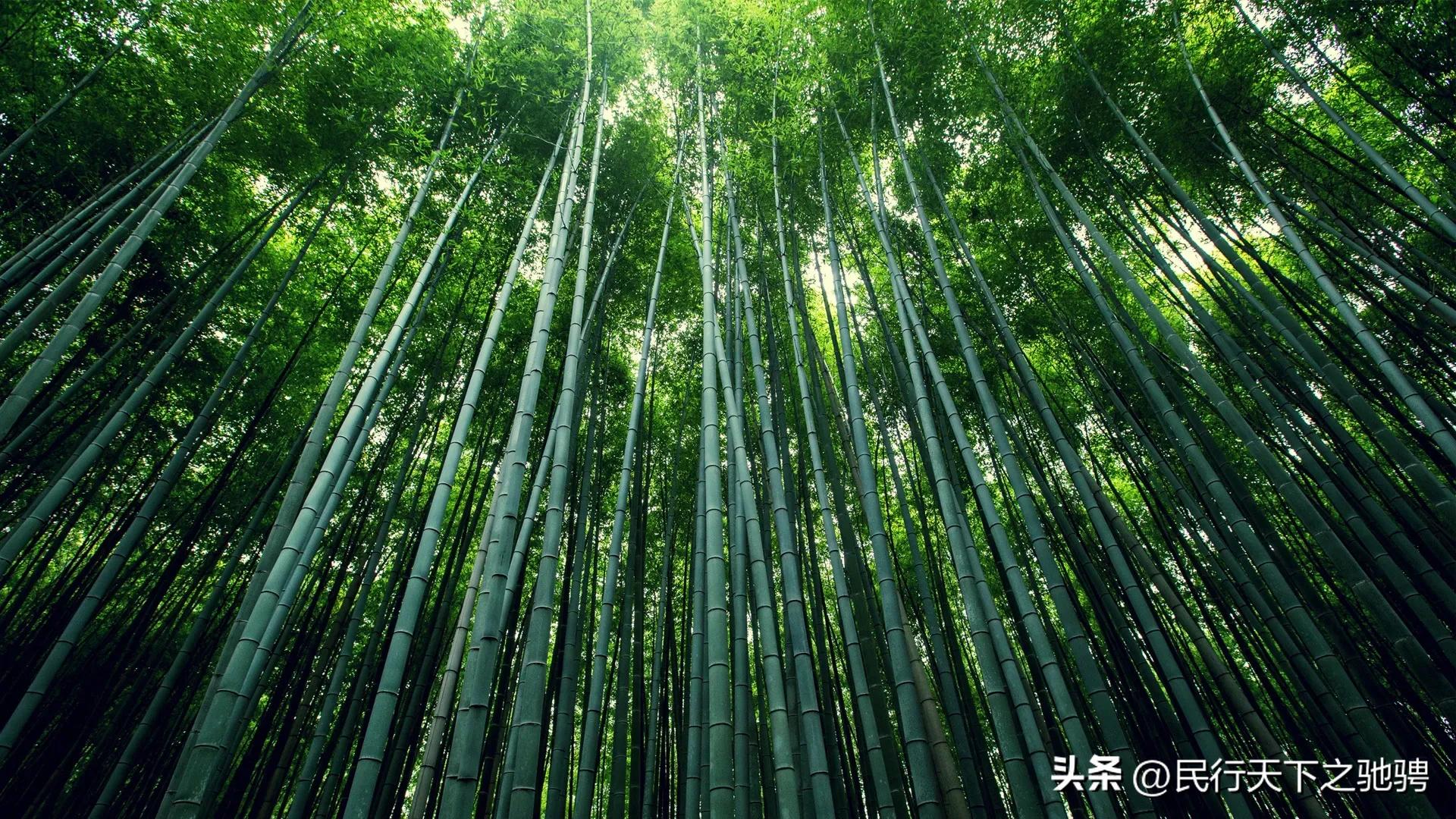 中国石油大学北京校训,中国大学校训一览表