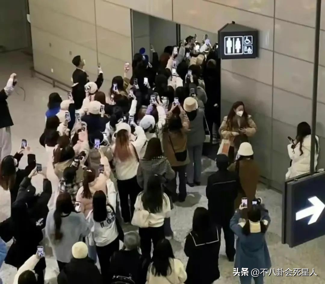 陈飞宇张颂文,陈飞宇陈凯歌张译张颂文