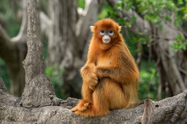 11条扎心社会规则,10条简单的社会定律