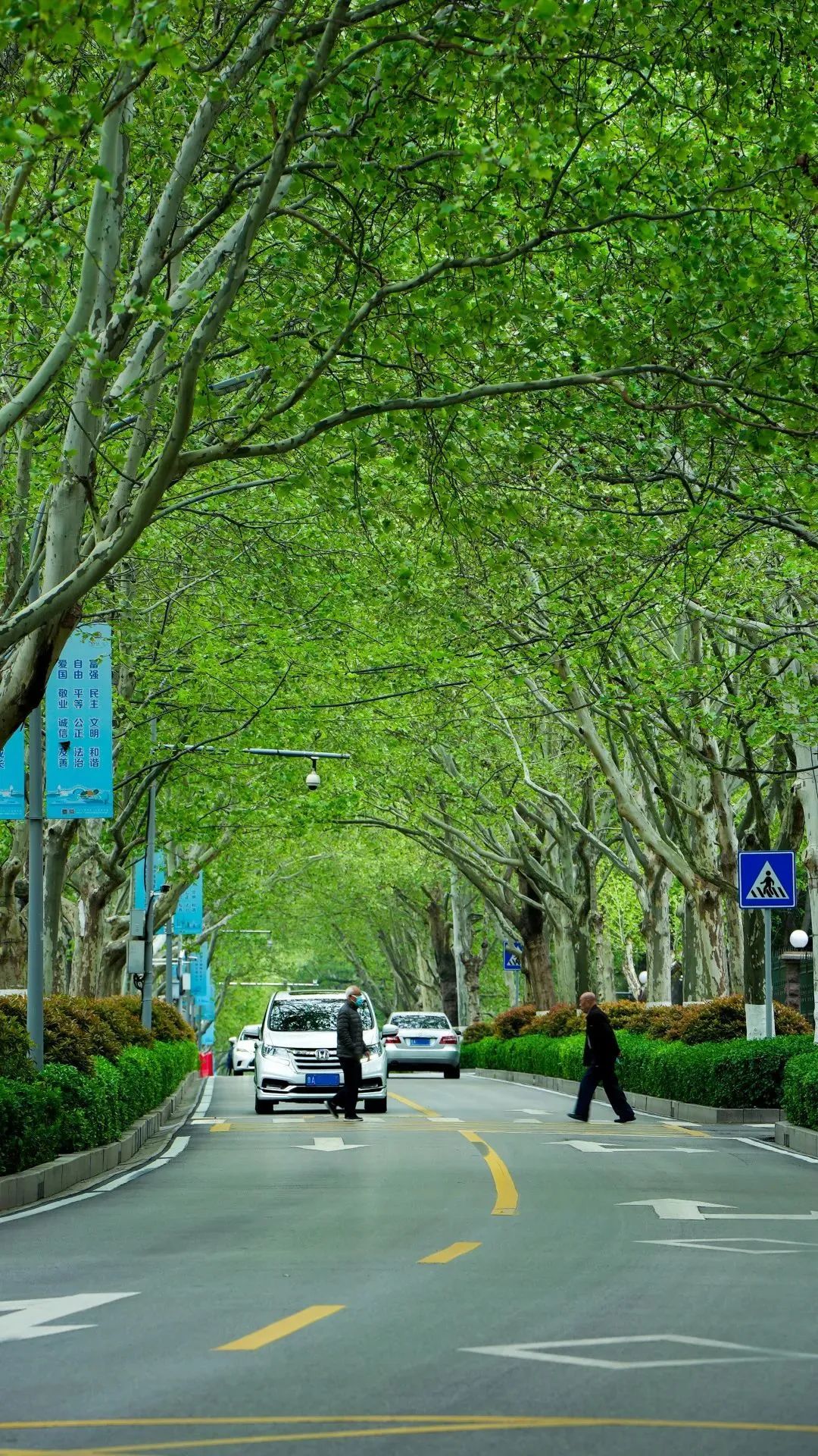 一眼爱上！济南色彩图鉴来了！看大自然的调色盘画出泉城缤纷夏日！