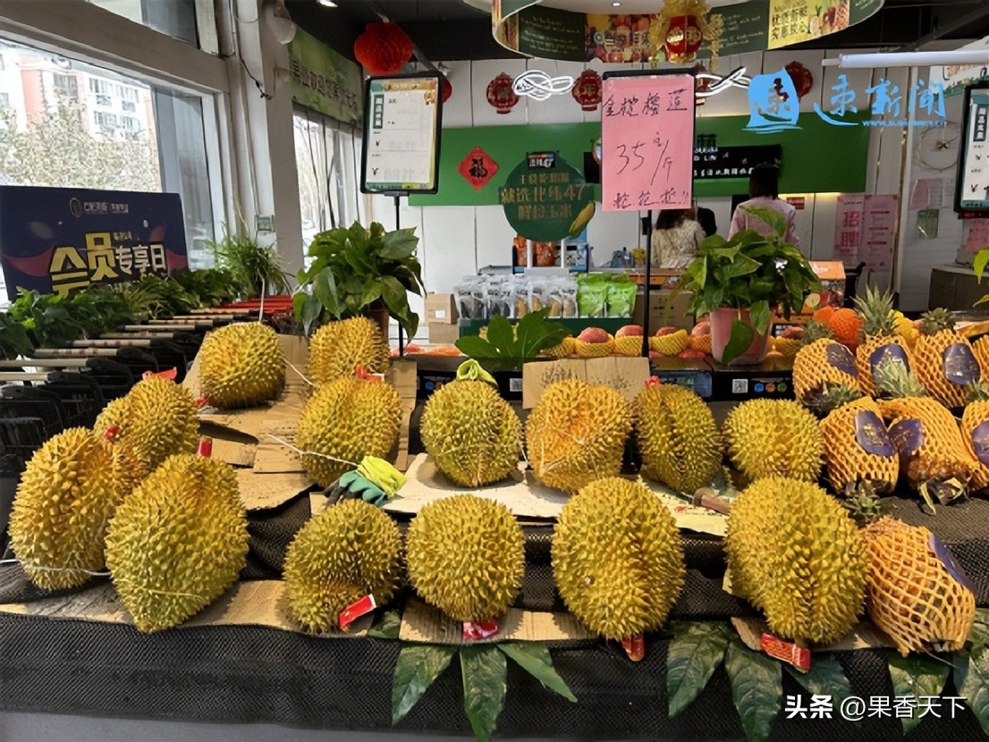 榴莲价格暴跌是真的吗,榴莲降价是因为啥