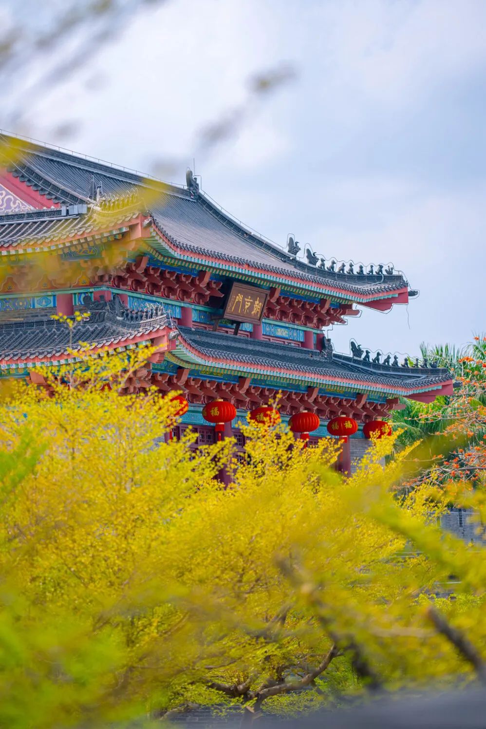 惠州带娃踏青好去处,惠州清明免费踏青好去处