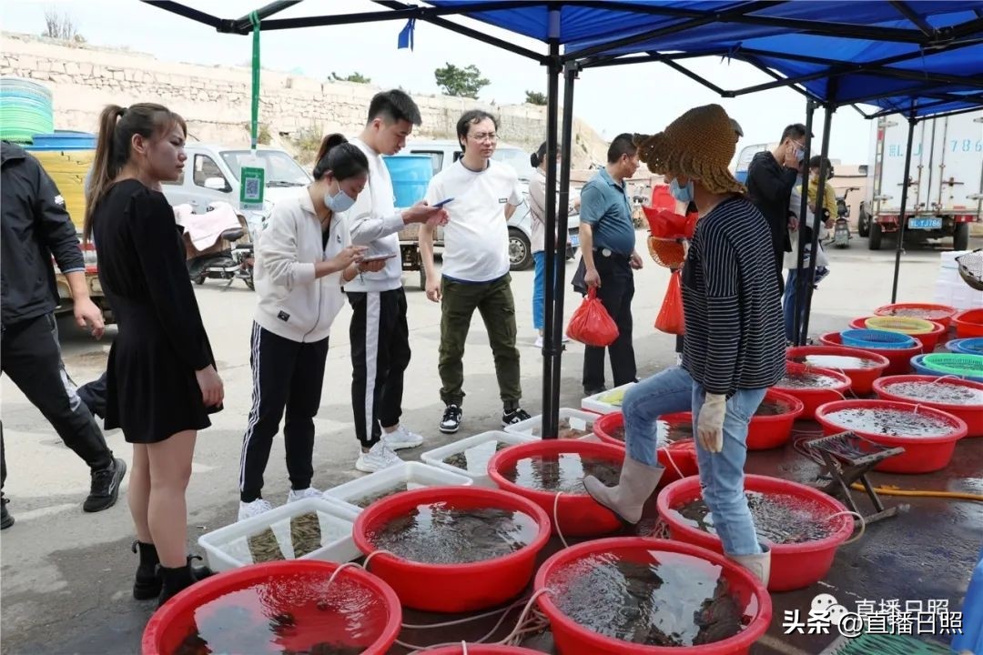 肉质紧实的海虾便宜,肉质嫩价格便宜的海鱼