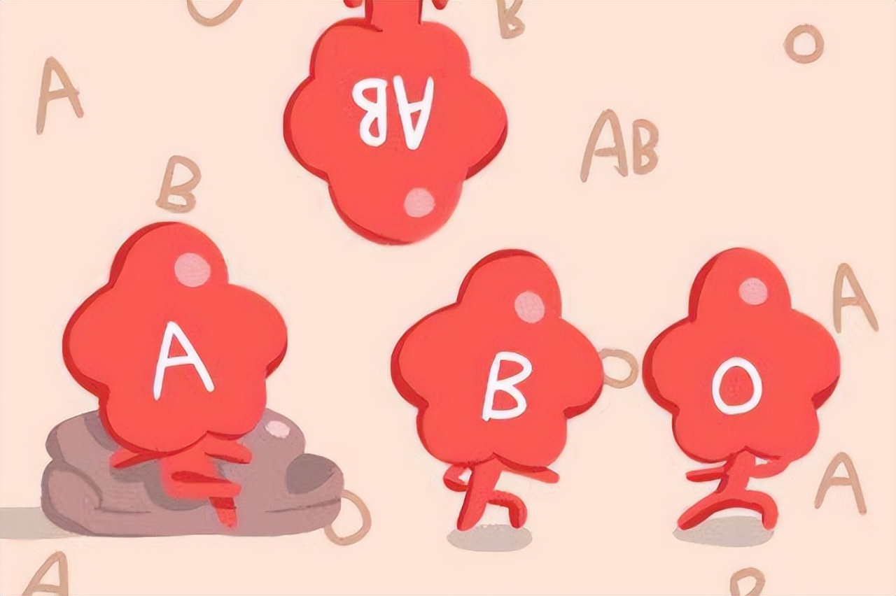如果夫妻中有一人是O型血,所生的孩子有什么特点?建议了解