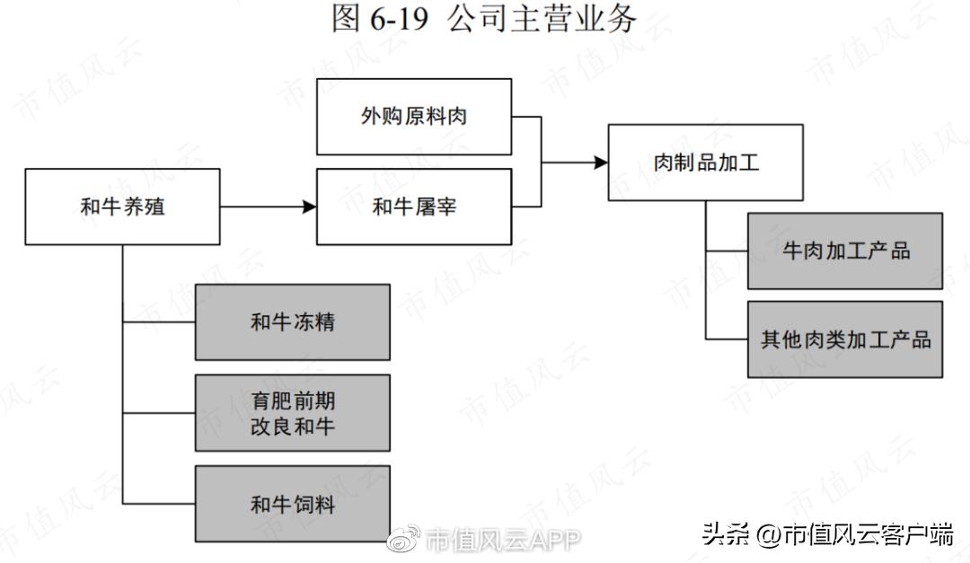 上市前突击分红是什么意思,上市前突击分红6个亿