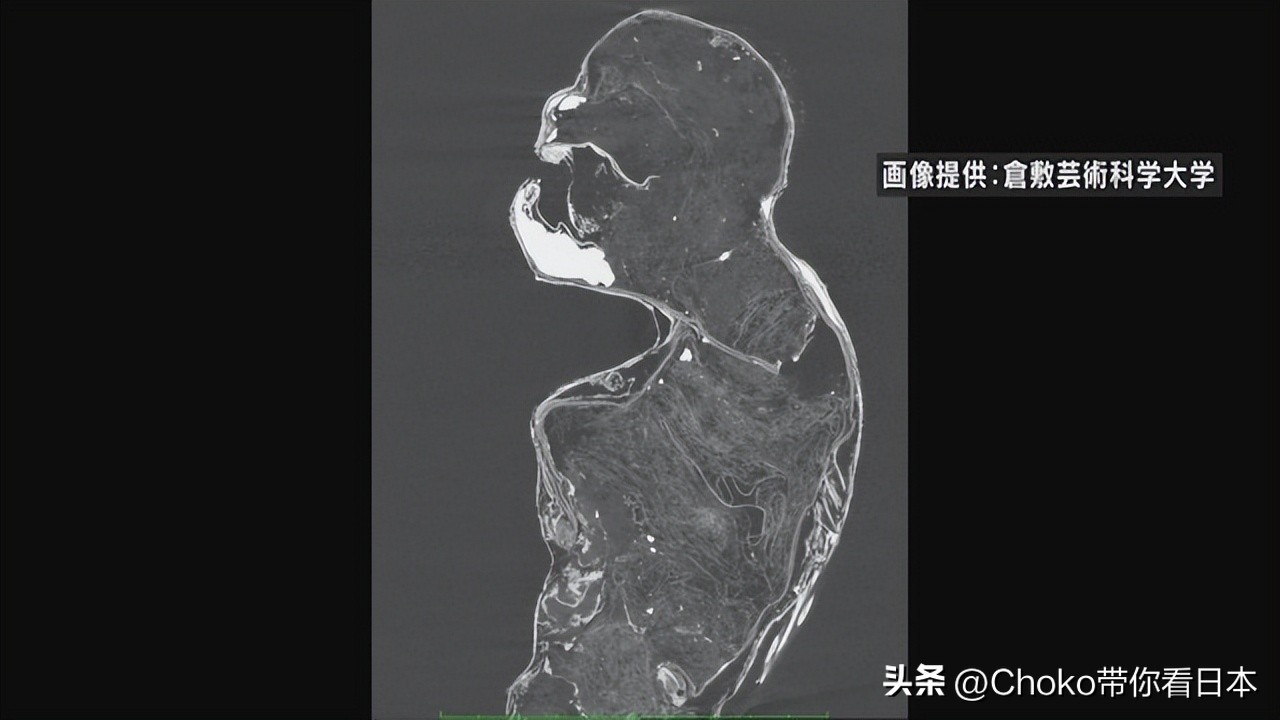 美人鱼木乃伊真实图片,日本美人鱼木乃伊