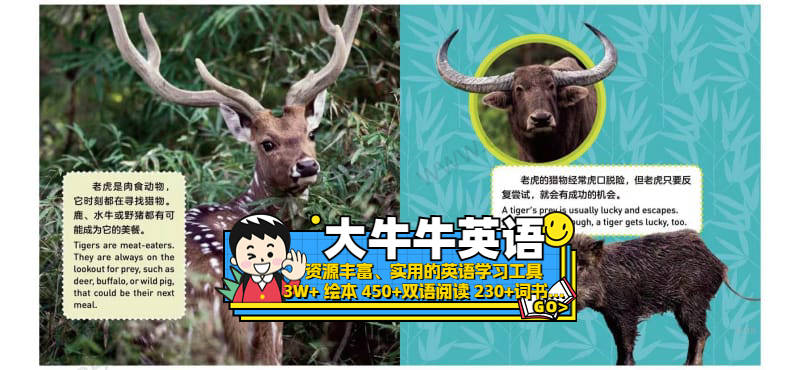 Tigers3~6岁英语启蒙绘本