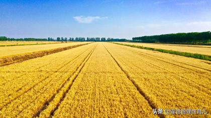 和孩子每天读古诗词30分钟,悯农二首其一李绅古诗视频拼音