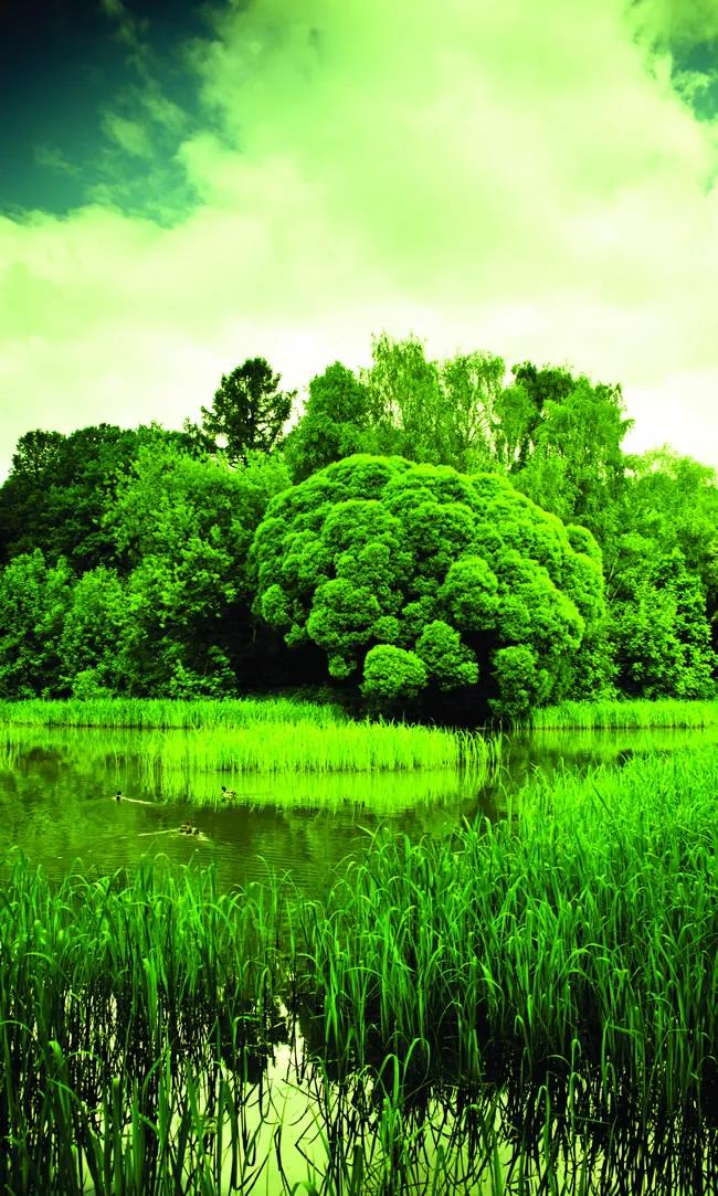 绿草自然风景图片,惊艳高清山水花草风景图片